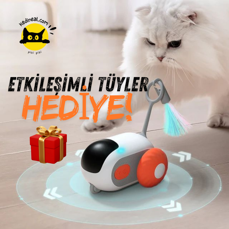 Uzaktan Kumandalı Otomatik-Manuel İnteraktif Kedi Egzersiz Oyuncağı