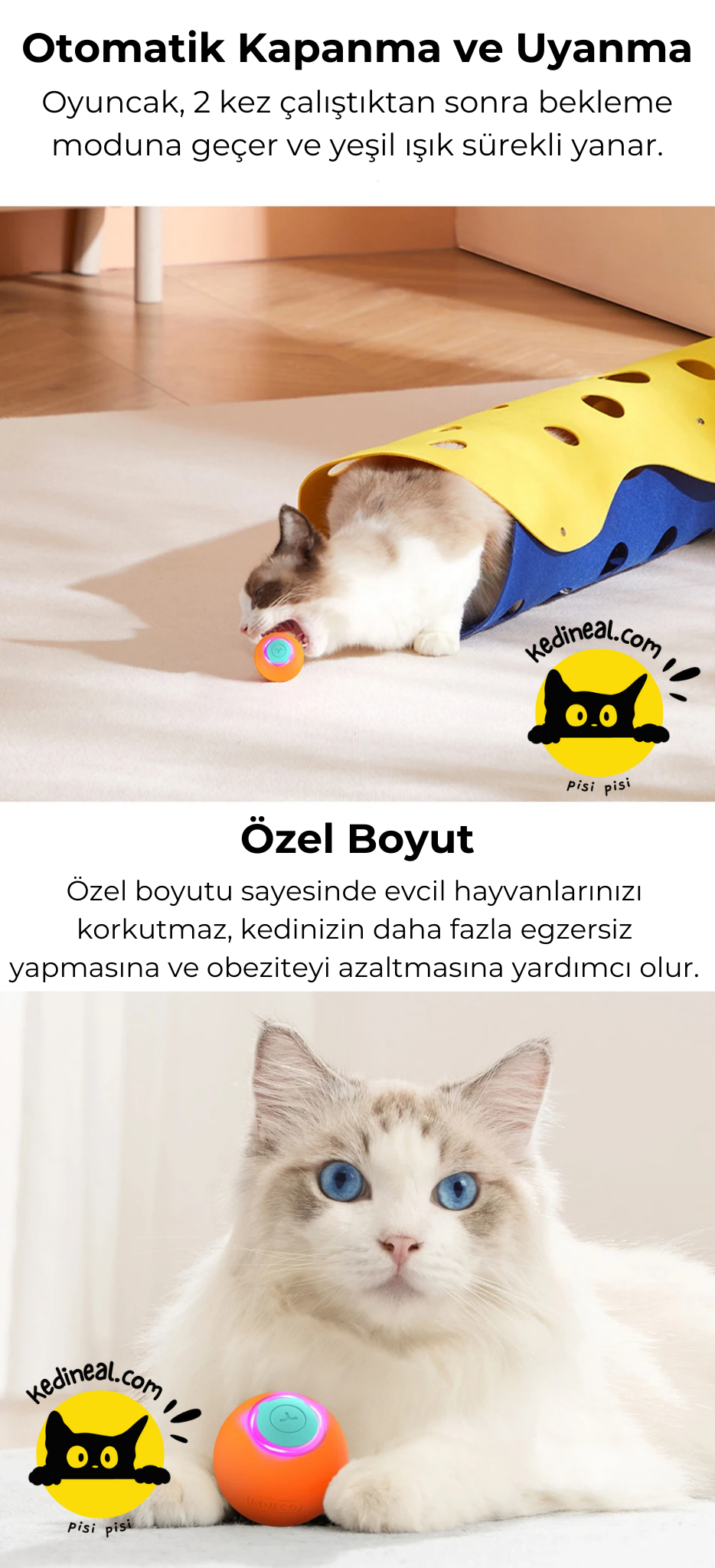 Zıplayan Top Kedi Oyuncağı